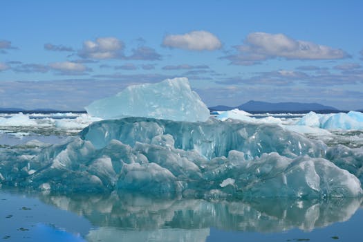 Kritika šéfa ICE po smrti migranta: Republikáni žádají změny